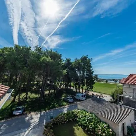 Apt Della With Pool, 50m From Beach Apartment *